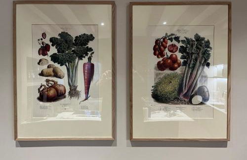 Beautiful Farmhouse - 1h40 South Paris - Foto 36