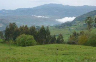 EL HOGAR DE LA CASTAÑERA - Foto 19