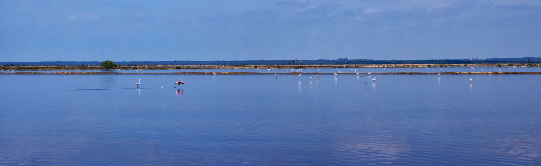 Wharf of the Caravels Boat Cruise
