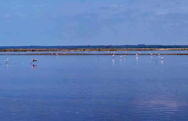 Paseo en barco al Muelle de las Carabelas - Foto 1