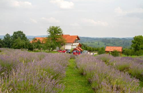 Lavanda farm apartmani - Foto 89