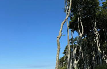 Ostseeblick - Foto 22