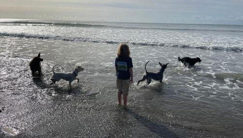 Jam First - Lydcott Glamping, Cornish Sea Views - Foto 2