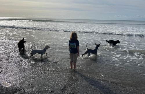 Clotted Cream -Lydcott Glamping, Cornish Sea Views - Foto 9