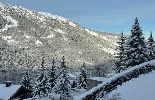 Méribel 2 pièces avec cabine, centre, proche commerce et pistes avec parking et wifi état neuf - Foto 13