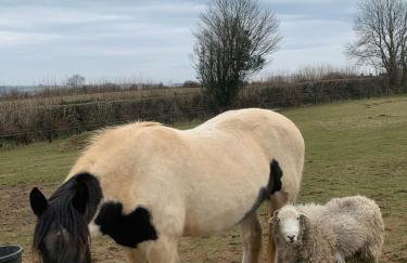 Stable End - Photo 20