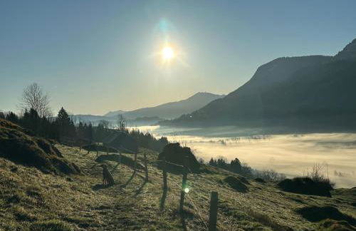 Wald Lounge - Foto 60