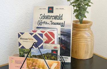 MARKT14 City Apartment Marktplatz Freundenstadt - Foto 23