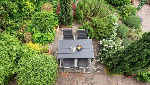 Ferienhaus im Weinberg Kallstadt - Foto 5, Garden, Garden view