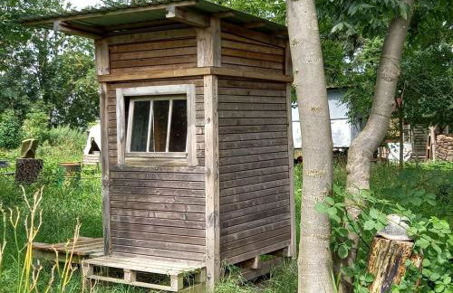 Wiesepeter - Foto 15