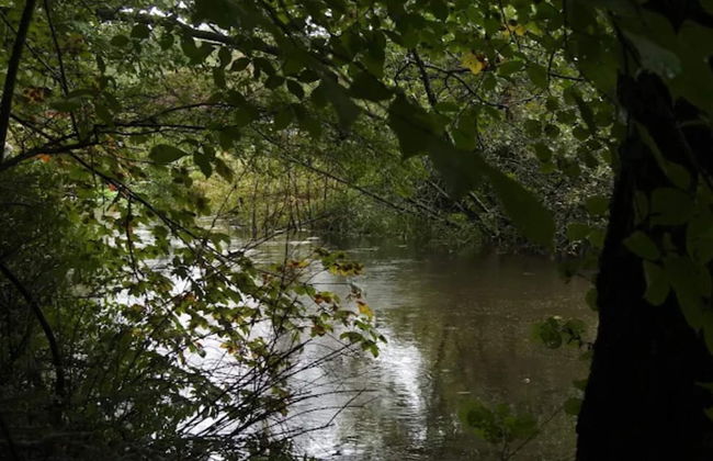 Charming Farmhouse Retreat - By Traum Ferienwohnungen - Foto 27