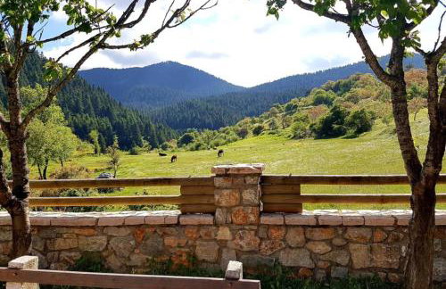 Elati Hills - Photo 43