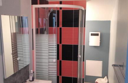 L'oiseau bleu - Foto 4