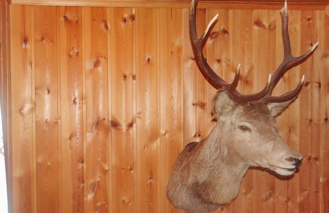 4 Person Holiday Home in Mandalen - Foto 34