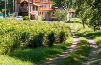 Cascinetta32 - Foto 11