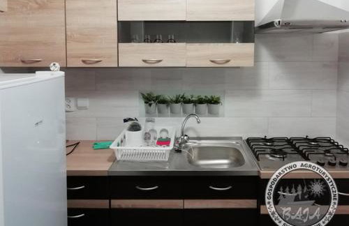 BAJA Gospodarstwo Agroturystyczne - Foto 29