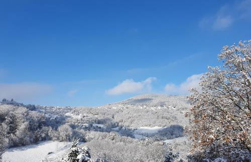 Le Chant du Loriot - Foto 37