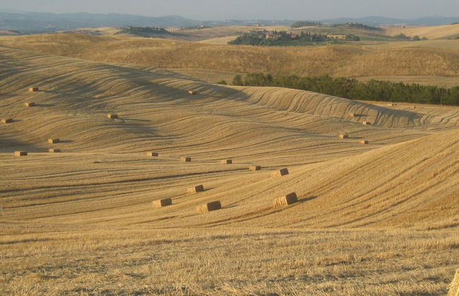 Agriturismo San Giorgio - Foto 43