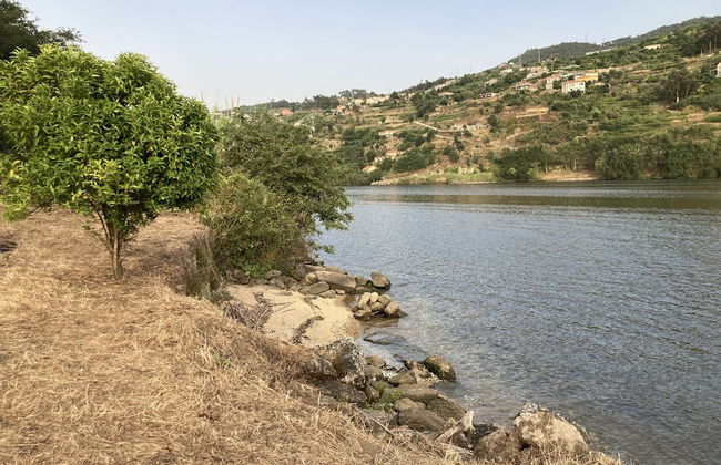 Impeccable 5 Bed House in Santa Cruz do Douro - Foto 22