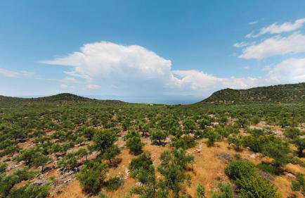 Appartement in OLIVE GROOVE HOUSE PELOPONNESOS WESTERN MANI - Foto 24