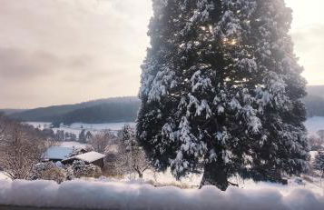 romantische Ferienwohnung im Vogelsbergkreis - Foto 21