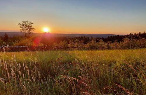 Ferienhaus Hilde - Foto 41