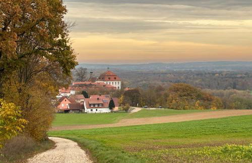 Holzliebe mit Donaublick - Foto 29