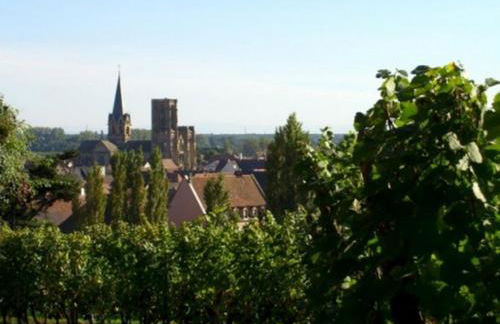 Studio Rouffach - Foto 14