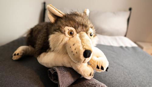 FullHouse - Halle - T28 - Wolf Apartment - Foto 3