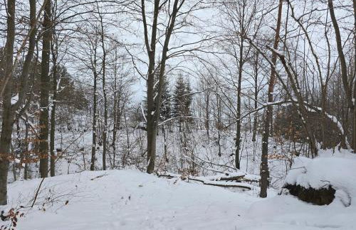 Forest Zen Małastów dom z prywatną balią z widokami na las - Foto 18