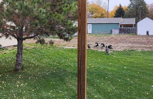 Peaceful Modern House by River & Park in Guernsey - Foto 12