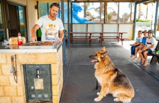 Discovery Parks - Bunbury Village - Photo 57