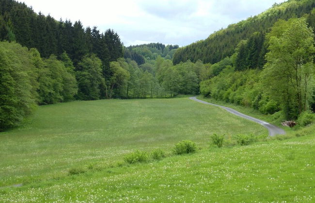 Apartment in Schmallenberg-oberkirchen With Terrace - Foto 65