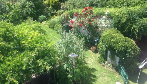 Ferienwohnung Heil - Königs Wusterhausen - Foto 4, Garden view