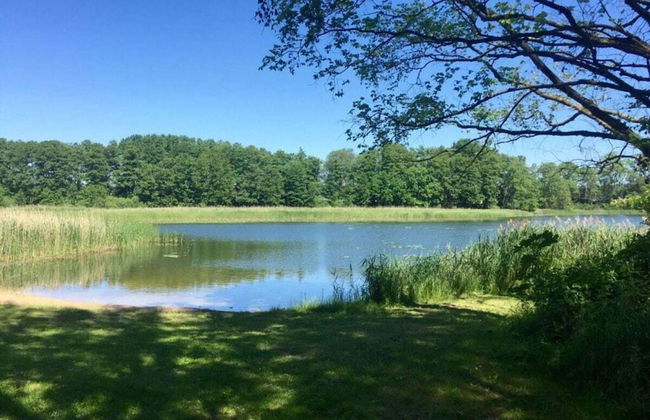 Amazing Apartment in Templin - Foto 19