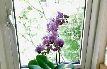 Key Cottage, sleeps 8 - Foto 16