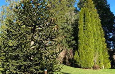 Grand appartement hyper centre haut standing - Foto 49