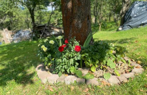 Apartamenty Emerald Hills - Foto 33