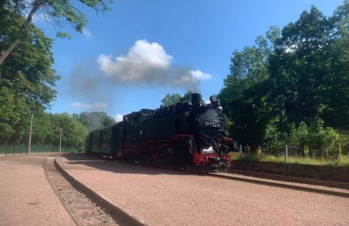 Wiesenblick - Foto 40