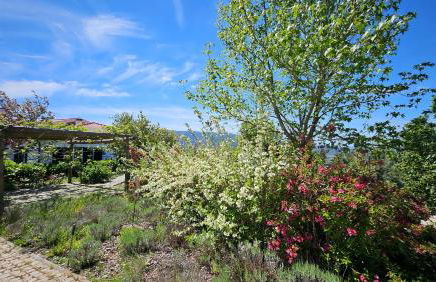 Coja Mountain Perch - Foto 39