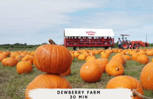 Big Texas Living - Spacious 5-BD with Pool - Foto 55