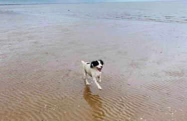 A unique, off-grid Eco Friendly Beach House. - Foto 54