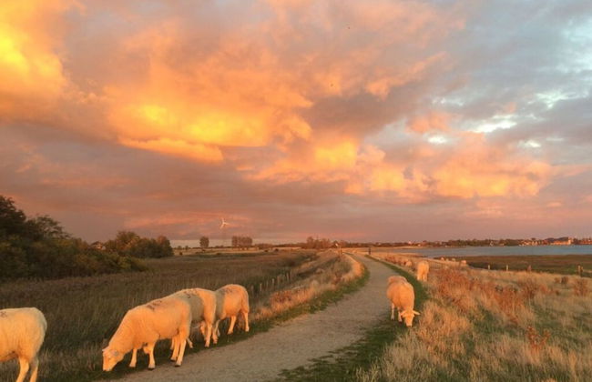 Holiday Apartment Seaside - Foto 14