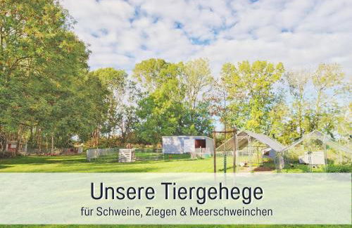 Bio Ferienhof Wichtelweide - Fewo Lavendel - Foto 22