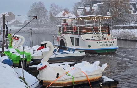 Finkennest Wolke 7 - Foto 29