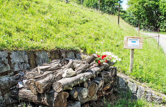 Rustico Fey - Foto 5