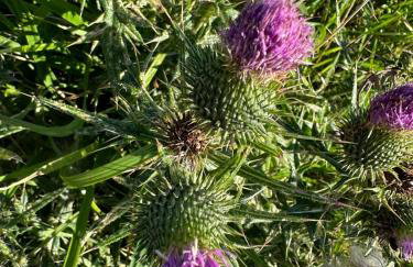 A cjase di Luca - Photo 25