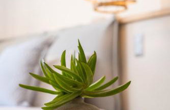 8MOONS Boutique Apartments - Foto 63