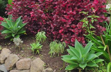 Casa do Monte - Photo 42