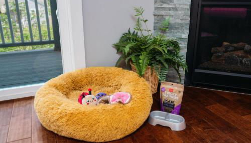 Walnut, 3BR Townhom Near Downtown, Beach and Wineries - Photo 4, pet friendly